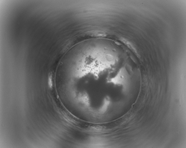 X0000068840069200605081250