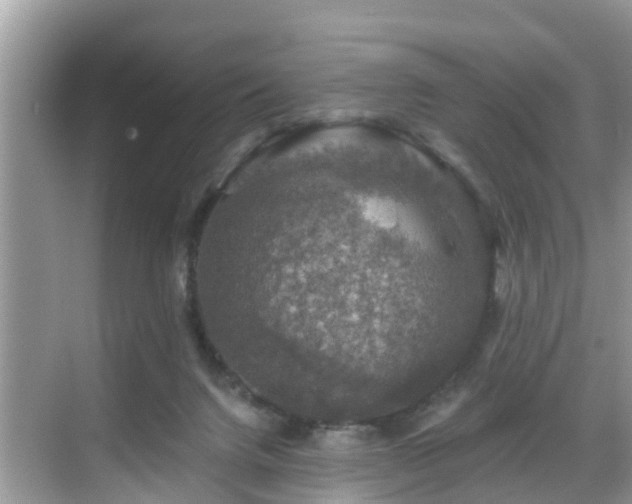 X0000068840072200605081250