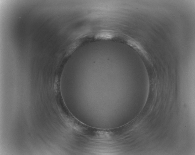 X0000068840073200605081250