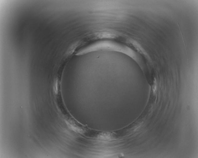 X0000068840076200605081250