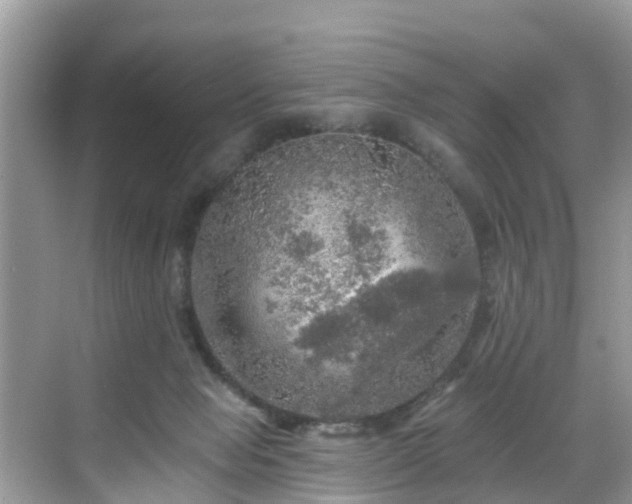 X0000068840077200605081250