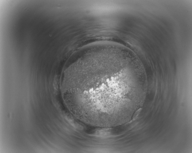 X0000068840078200605081250