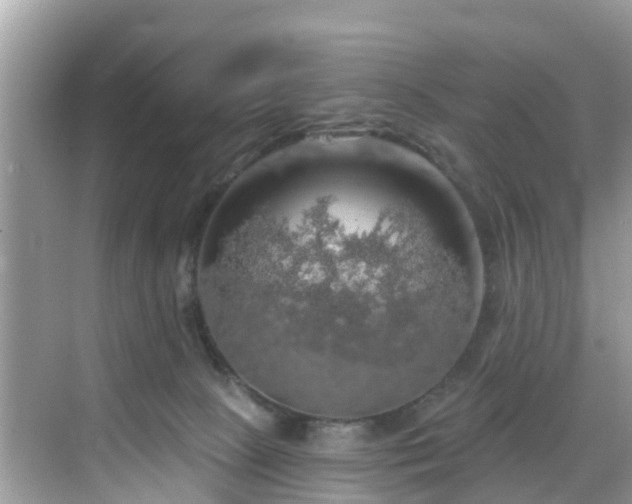 X0000068840081200605081250