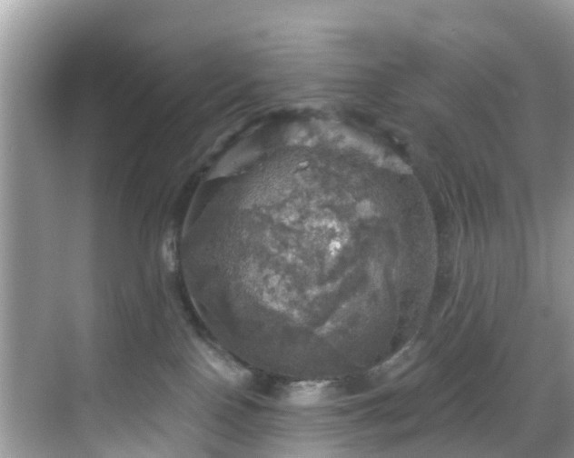 X0000068840090200605081250