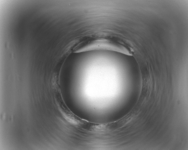 X0000068840092200605081250