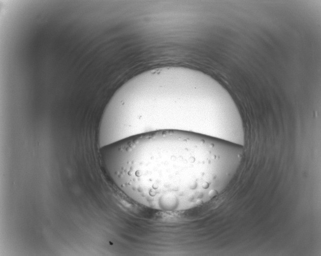 X0000068840093200605081250