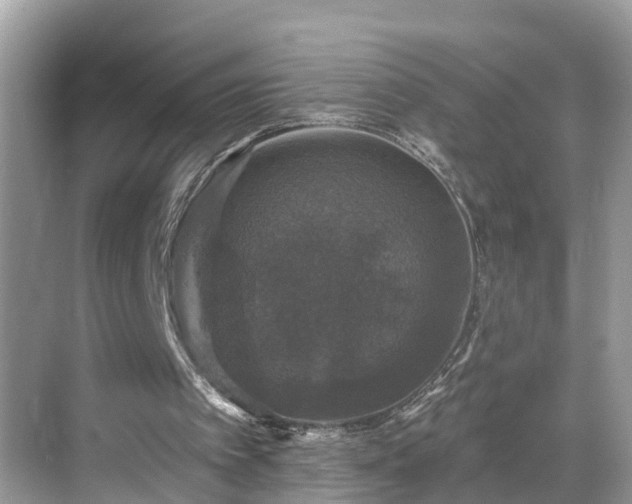 X0000068840097200605081250