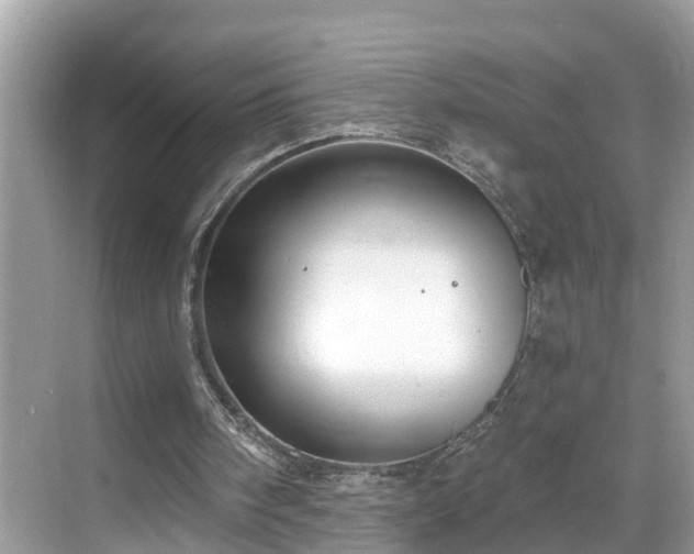 X0000068840098200605081250