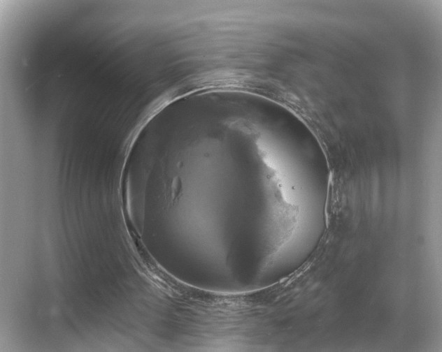 X0000068840099200605081250