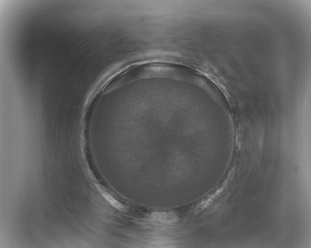 X0000068840101200605081249