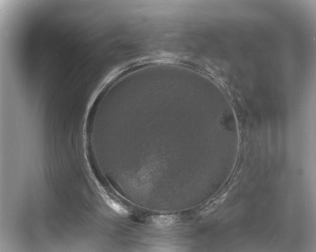 X0000068840102200605081249