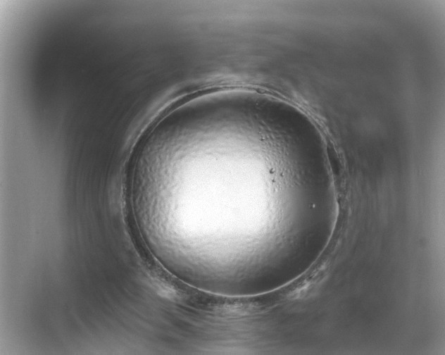 X0000068840103200605081249