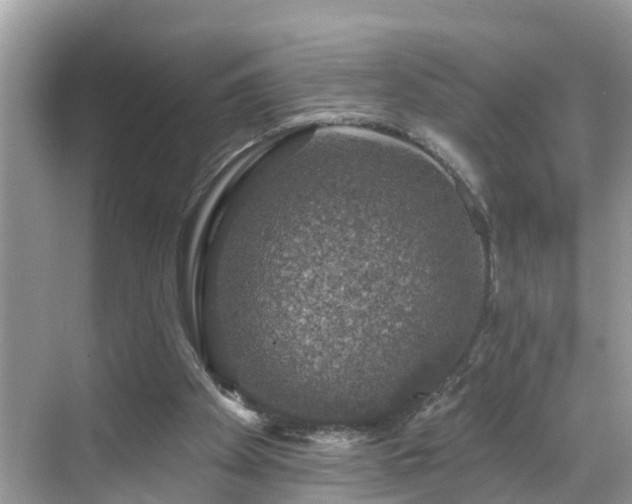 X0000068840105200605081249