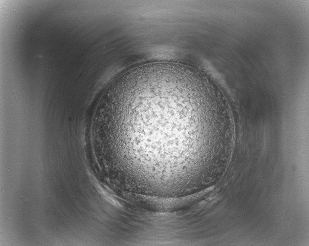 X0000068840106200605081249