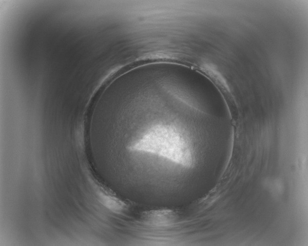 X0000068840108200605081249