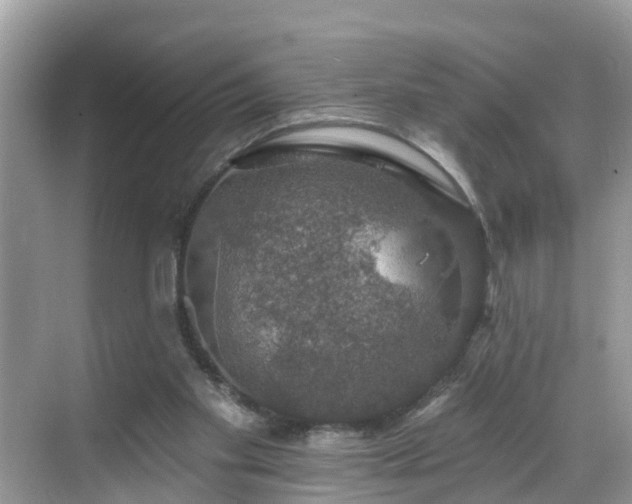 X0000068840109200605081249