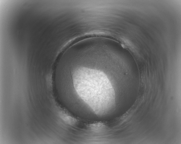 X0000068840112200605081249