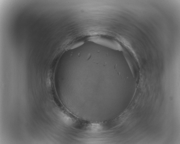 X0000068840114200605081249