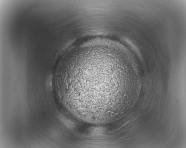 X0000068840115200605081249