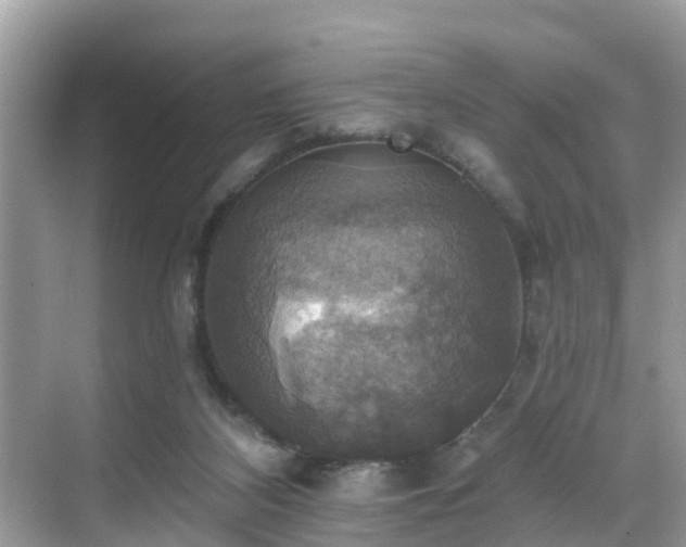 X0000068840116200605081249