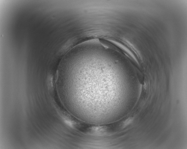 X0000068840117200605081249