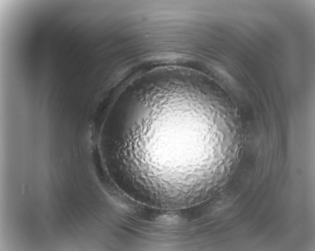 X0000068840119200605081249