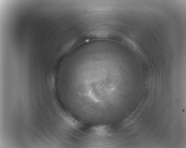 X0000068840120200605081249