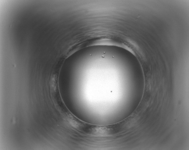 X0000068840121200605081249