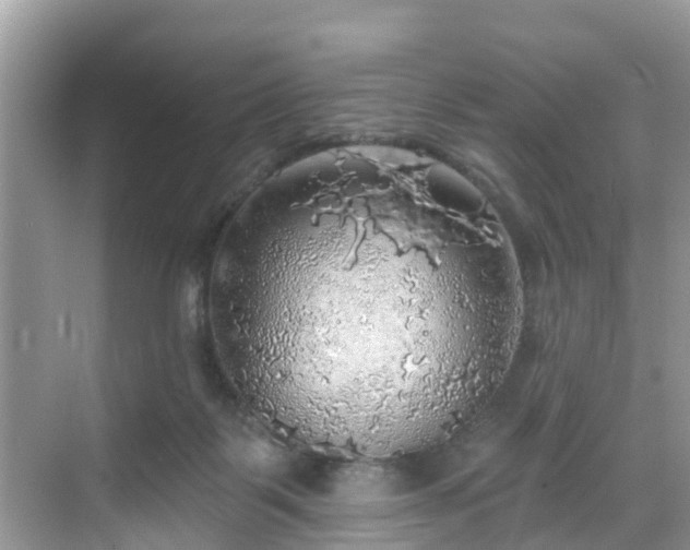 X0000068840123200605081249