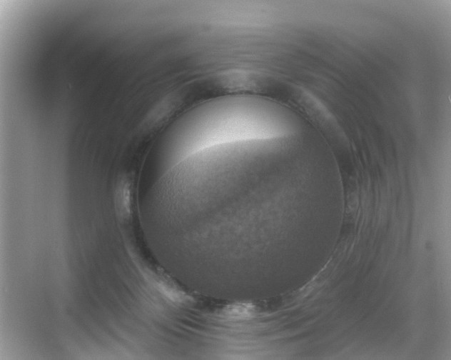 X0000068840124200605081249