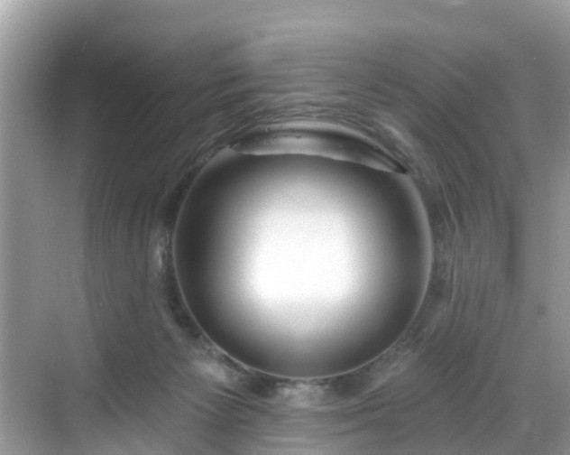 X0000068840125200605081249