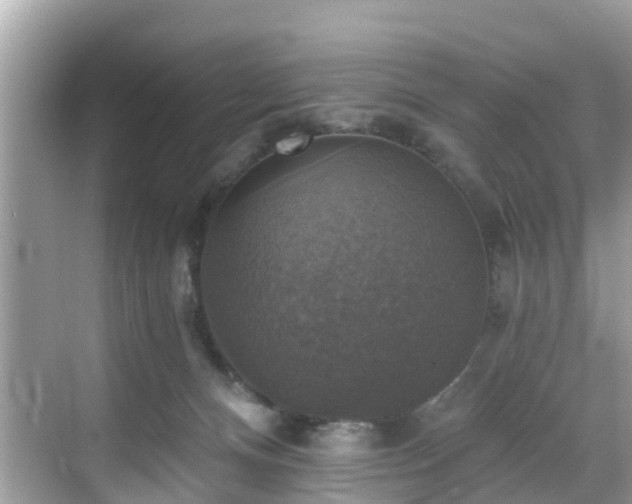 X0000068840128200605081249