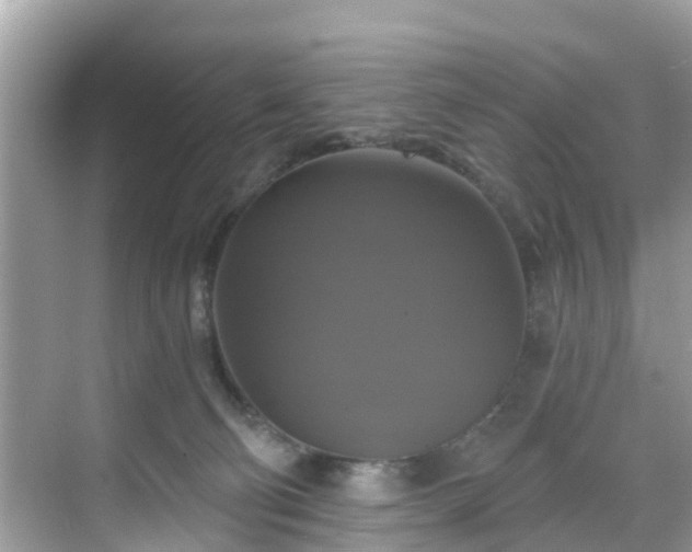 X0000068840130200605081249