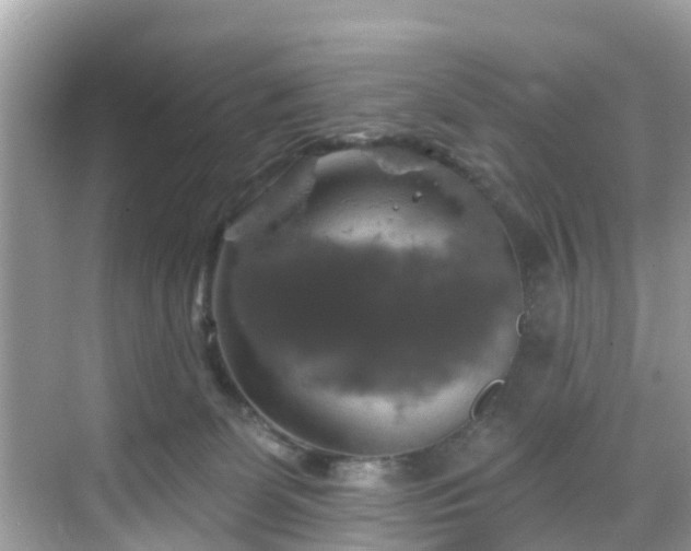 X0000068840131200605081249