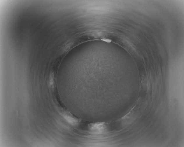 X0000068840132200605081249