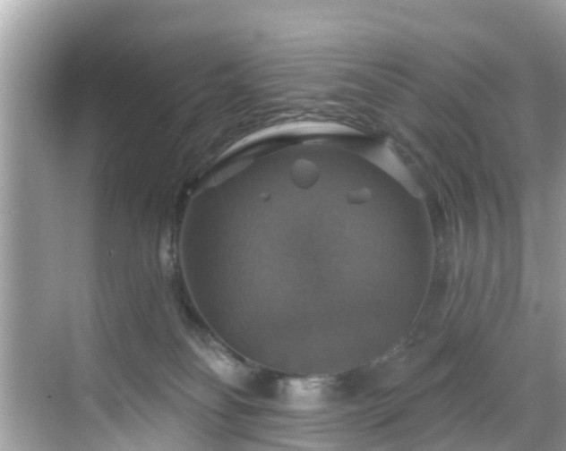 X0000068840134200605081249