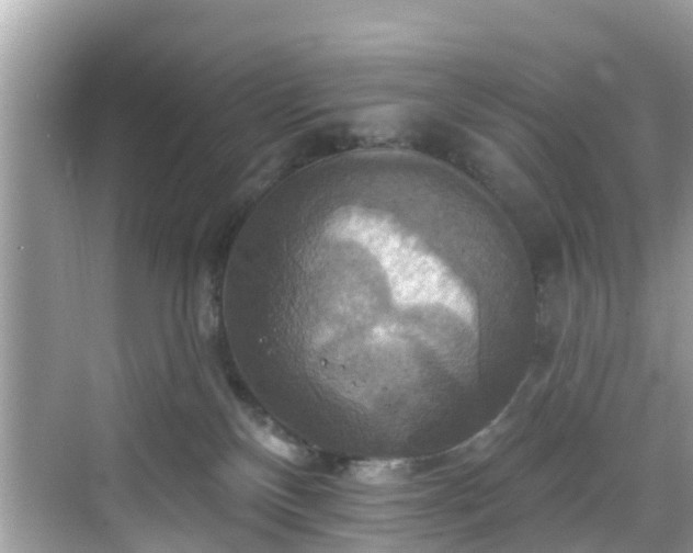 X0000068840136200605081249