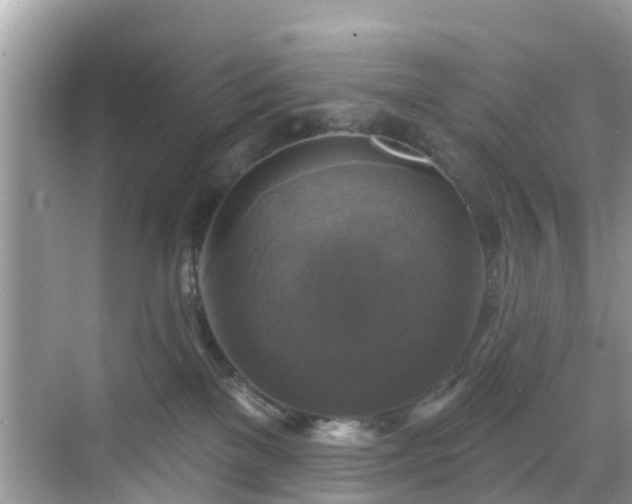 X0000068840137200605081249