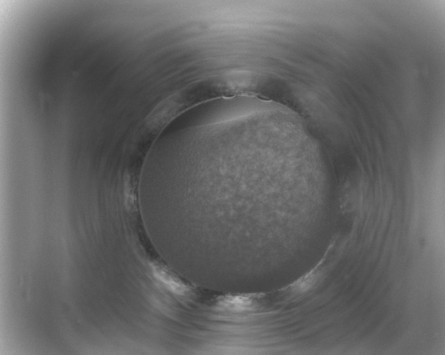 X0000068840140200605081249