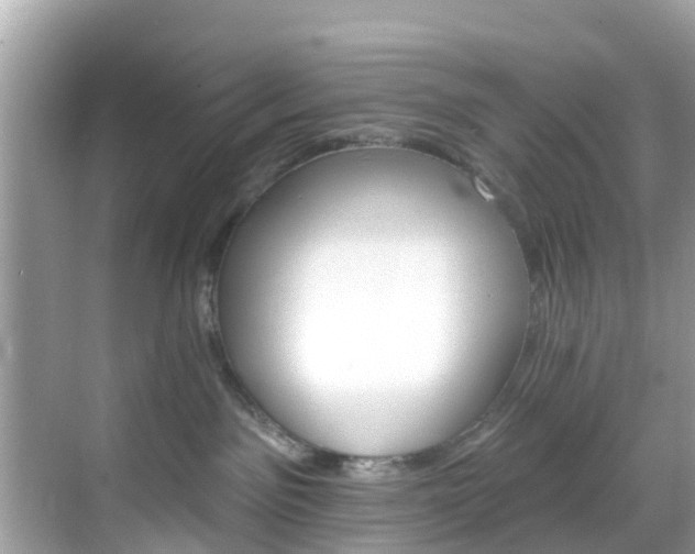 X0000068840141200605081249