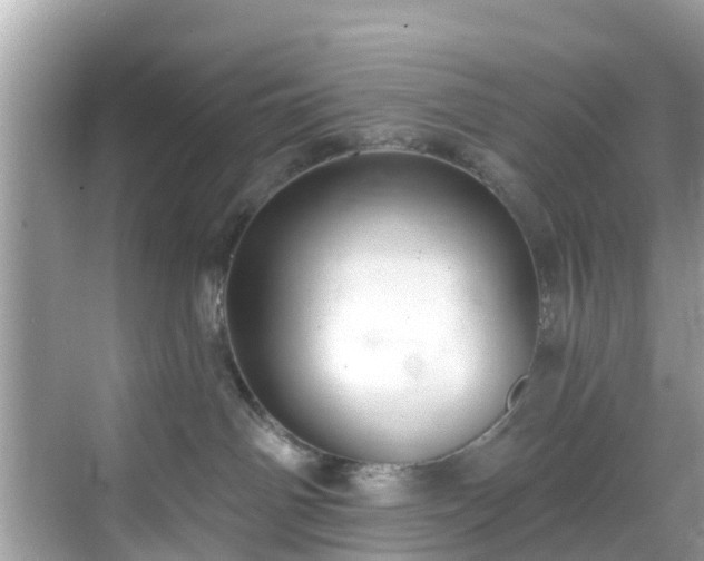 X0000068840142200605081249