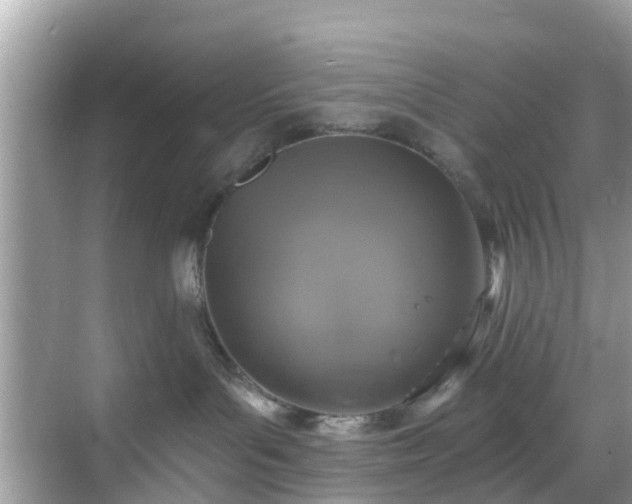 X0000068840143200605081249