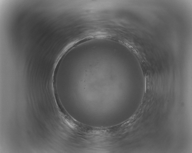 X0000068840147200605081248