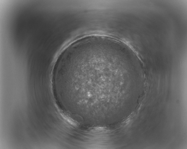 X0000068840151200605081248