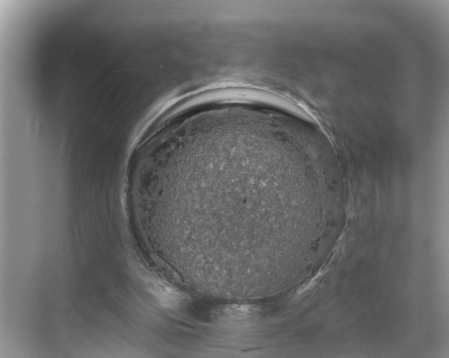 X0000068840152200605081248