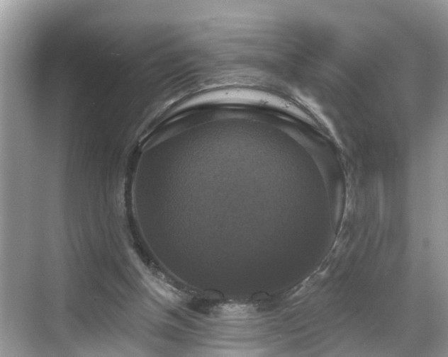 X0000068840154200605081248