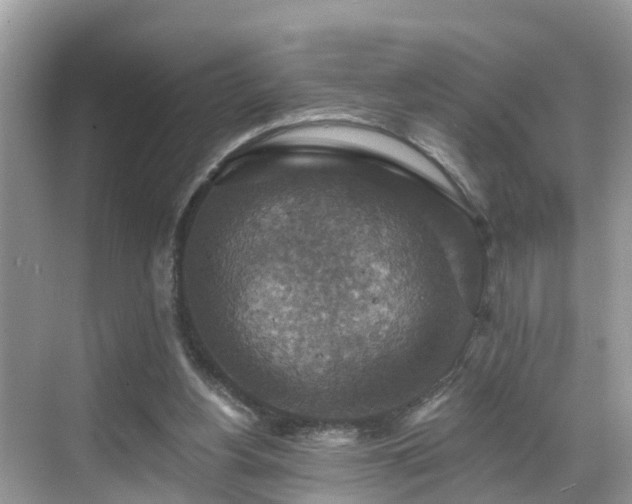 X0000068840156200605081248