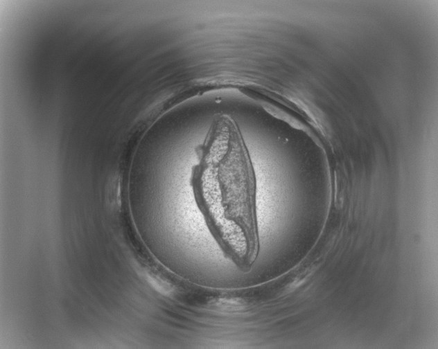 X0000068840157200605081248