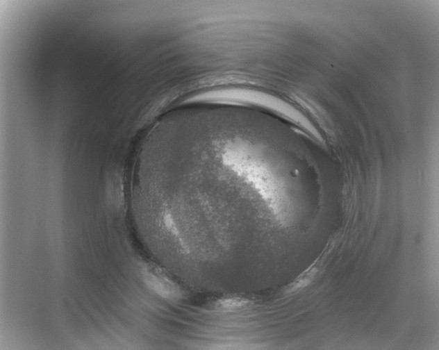 X0000068840158200605081248