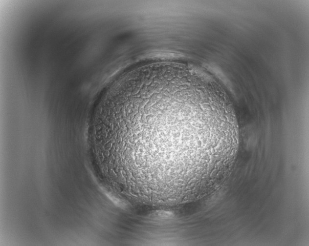 X0000068840159200605081248